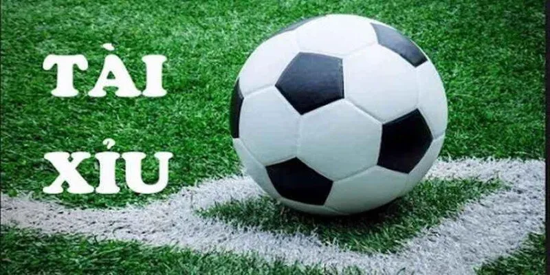 Điểm qua kinh nghiệm chơi cá cược bóng đá tài xỉu thắng lớn