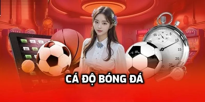 Giới thiệu về định nghĩa của cá độ bóng đá